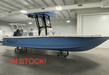 2025 Robalo 246 Cayman Steel Blue  Boat